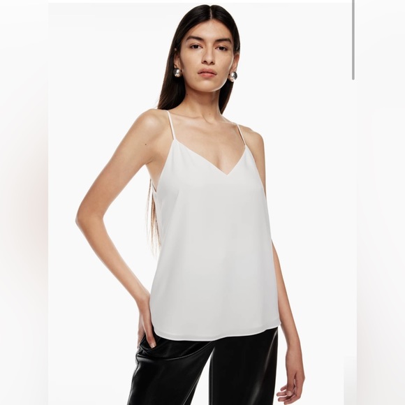 Aritzia Babaton Striped Everly Camisole - Picture 7 of 8